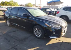 5NPE24AF6KH744864: 44385758