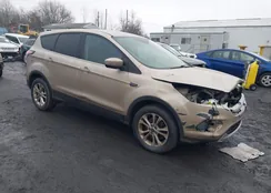 1FMCU9GD6HUD99866: 44387135