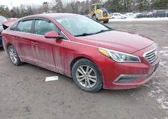 5NPE24AFXFH212944: 44386476