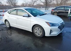 5NPD74LF8LH507921: 44386562