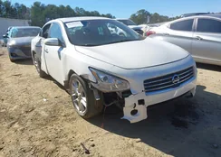 1N4AA5APXBC808230: 44386744