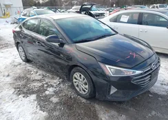 5NPD74LF3KH430907: 44387988