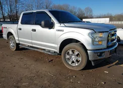 1FTEW1EG4HFA75552: 44387728