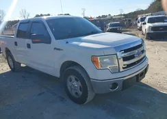 1FTFW1CF2DFB61290: 44387750