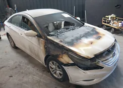 5NPEB4AC5BH304768: 44389185