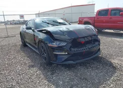 1FA6P8CF7J5166675: 44389228