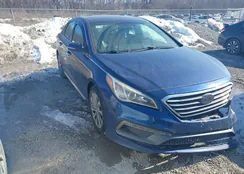 5NPE34AF5HH570548: 44389287