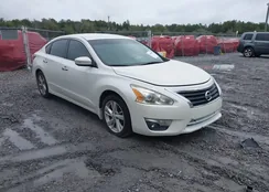 1N4AL3AP2FN911828: 44389299