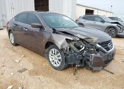 1N4AL3AP1HN316181: 44388724