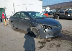 2T1BU4EE7DC057185: 44388791