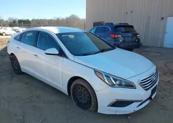 5NPE24AF2GH412055: 44389860