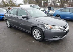 1HGCR3F93DA037670: 44389929