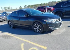 1N4AA6AP9HC438791: 44389941