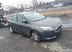 1FADP3K22GL280225: 44390248