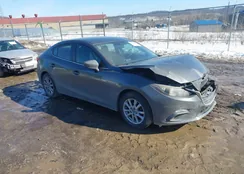 JM1BM1V71E1114356: 44389551