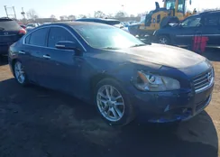 1N4AA5AP9AC820979: 44390863