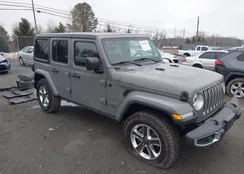 1C4HJXEN5JW246750: 44391091