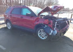 1FM5K8B85FGC33515: 44390675