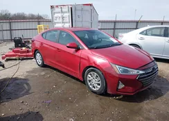 5NPD74LF2KH494968: 44391451