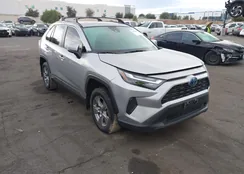 4T3RWRFV7PU092520: 44391835