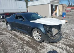 1G1FB1RXXK0115534: 44392872