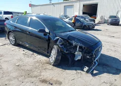 5NPE24AF4KH764899: 44393036