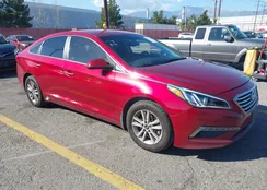 5NPE24AF7FH166375: 44392804