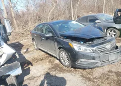 5NPE34AF5FH116751: 44393948