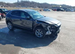 3MVDMBDM5MM224946: 44394444