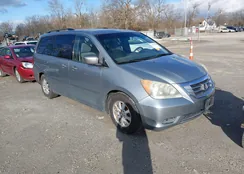 5FNRL38458B036769: 44393461