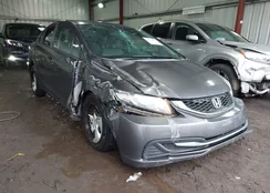 19XFB2F56EE019654: 44393591