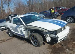 1ZVHT80N575249716: 44393608