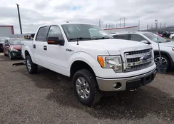 1FTFW1EF8EKF51087: 44394911