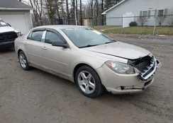 1G1ZB5E1XBF100745: 44394528