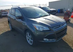 1FMCU9J91FUC79801: 44394727