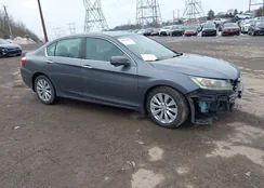 1HGCR2F8XFA018893: 44396835