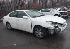 JTHBA30G945023224: 44396868