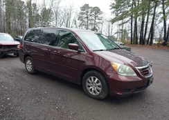 5FNRL38629B402478: 44397285