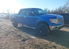 1FTFW1EF8BFA32951: 44396557