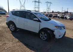 JTMRFREV2ED090119: 44397876