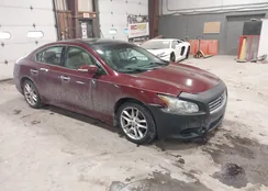 1N4AA5AP0AC810695: 44397620