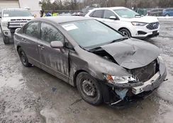 2HGFA1F56AH584127: 44398976