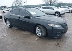 19UUB1F57FA026538: 44399036