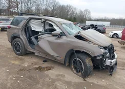 5N1DR3BD3SC236812: 44399354