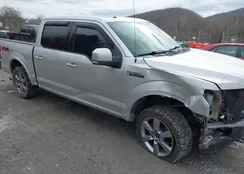 1FTEW1EF3FFA05335: 44398517