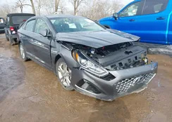 5NPE34AFXKH809969: 44400090