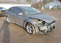 1FADP3F24EL246889: 44399560