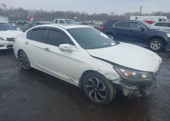 1HGCR2F71EA241734: 44401063