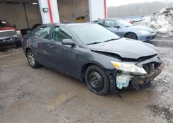 4T1BF3EK7BU175355: 44401153