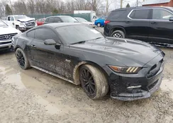 1FA6P8CF0H5301974: 44401174